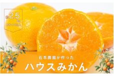 【予約受付】Sサイズ以上 サイズいずれか 石本農園のハウスみかん 2.5kg【2025年7月上旬から下旬に順次発送】 / みかん ミカン 蜜柑 ハウスみかん