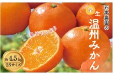 2Sサイズ 石本農園の早生温州みかん約4.5kg【11月下旬から12月末頃までに順次発送】/ みかん ミカン 蜜柑 早生 温州