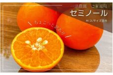 一法農園のセミノール ご家庭用 M-2Lサイズ 5kg ちょこっと訳あり【2026年4月上旬～4月下旬までに順次発送】 / みかん ミカン 蜜柑 セミノール フルーツ 柑橘 果物