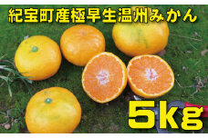 期間限定 2S～2L 大小混合 尾畑さんちの極早生マルチみかん 5kg / みかん 早生 極早生 マルチ