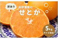 萩野農園の 訳あり せとか 5kg  サイズ混合【3月中旬から4月上旬までに順次発送致します。】 /  くだもの フルーツ 果物 訳あり品 家庭用 ご家庭用 せとか みかん 蜜柑 サイズ不揃い