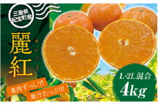 L-2L サイズ混合 萩野農園の麗紅(れいこう) 4kg 【2025年1月末から2月末までに順次発送致します。】 /  くだもの フルーツ 果物 みかん ミカン 蜜柑 れいこう 麗紅