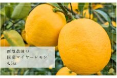 【先行予約】西地農園の国産マイヤーレモン 4.5kg【2025年12月末から2026年1月上旬頃に順次発送致します。】  / 檸檬 レモン れもん 柑橘 国産 大容量 数量限定 ご家庭用 家庭用