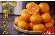 たにぐち農園早生温州みかん(マルチ栽培)　5kg【2025年11月中旬～12月中旬に順次発送】 /  ご家庭用 家庭用 不揃い 早生 温州 みかん 蜜柑 