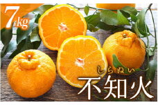＼受付は3月8日まで！！ ／ご家庭用  訳あり 不知火 7kg 18～35玉 大小混合 【2024年2月初旬から3月下旬までに順次発送致します。】 / くだもの フルーツ 果物 大容量 不知火 家庭用 人気 みかん 蜜柑 わけあり デコポン 数量限定