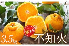 【3月3日受付終了！】ご家庭用 訳あり 不知火 約3.5kg 大小混合 〈2025年2月初旬～3月下旬までに順次発送〉 家庭用 訳アリ わけあり フルーツ 果物 くだもの 不知火 しらぬい デコポン みかん ミカン 蜜柑 柑橘 人気 予約 先行予約 数量限定 【njb670D】