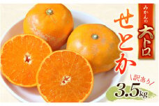 【3月30日までの受付】訳あり せとか 約3.5kg＋200g(傷み補償分)  大小混合 【2025年2月下旬から順次発送】 ご家庭用 家庭用 わけあり 訳アリ フルーツ 果物 くだもの 柑橘 せとか みかん ミカン 蜜柑 人気 予約 先行予約 数量限定