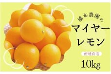 【先行予約】橋本農園のマイヤーレモン 10kg【2025年12月中旬から2026年1月中旬までに順次発送】 / レモン マイヤーレモン 檸檬 先行予約