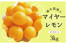 【先行予約】橋本農園のマイヤーレモン 3kg【2025年12月中旬から2026年1月中旬までに順次発送】 / レモン マイヤーレモン 檸檬 先行予約