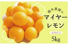 【先行予約】橋本農園のマイヤーレモン 5kg【2025年12月中旬から2026年1月中旬までに順次発送】 / レモン マイヤーレモン 檸檬 先行予約