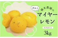 【先行予約】橋本農園の 訳あり マイヤーレモン 3kg【2025年12月中旬から2026年1月中旬までに順次発送】 / レモン マイヤーレモン 檸檬 先行予約 家庭用 ご家庭用
