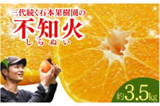 【先行予約】石本果樹園の美味しい 不知火 約3.5kg 8～12玉前後【2月初旬から2月下旬までに順次発送】 / みかん フルーツ くだもの 果物 デコポン 不知火
