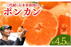 【先行予約】石本果樹園の美味しい ポンカン 約4.5kg 20～25玉【1月初旬から２月初旬までに順次発送】 / みかん フルーツ くだもの 果物 ポンカン