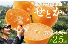 【先行予約】石本果樹園の美味しいせとか 約2.5kg 9～15玉【2月中旬から3月中旬までに順次発送】 / みかん フルーツ くだもの 果物 せとか 大トロ トロ