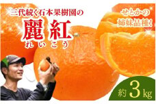 【先行予約】石本果樹園の美味しい麗紅（レイコウ）約3kg 18～20玉前後【2月中旬から3月中旬までに順次発送】 / みかん フルーツ くだもの 果物 れいこう