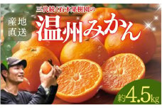 【先行予約】石本果樹園の美味しい温州みかん 約4.5kg 35～40玉前後【11月初旬から2月下旬までに順次発送】 / みかん フルーツ くだもの 果物 温州みかん