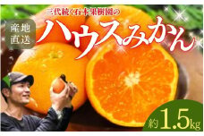 【先行予約】石本果樹園の美味しいハウスみかん 約1.5kg 12～15玉前後 化粧箱入り【7月初旬から8月初旬までに順次発送】 / みかん フルーツ くだもの 果物 ハウスみかん 贈答