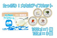 アイスクリーム アイス バニラ 抹茶 グリーンティー イチゴ ストロベリー チョコ チョコレート 大容量 / たっぷり！大内山アイスセット