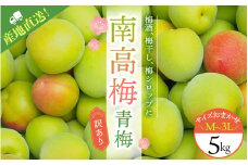 【本日で受付終了！】M-3Lのサイズおまかせ！ 訳あり ご家庭用 南高梅 青梅 5kg【2025年6月初旬から6月中旬までに順次発送】 / 梅 梅酒 梅干 青梅 梅ジュース 梅干し 三重県産
