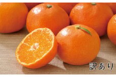 訳あり サイズL以下 岡農園の早生温州みかん 4kg 【2025年11月中旬から12月中旬までに順次発送】/ みかん 蜜柑 温州みかん 早生みかん 柑橘 