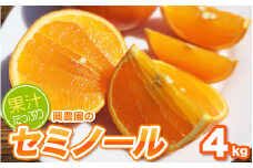 サイズL以上(L・2L・3L)岡農園のセミノール4kg【2026年3月下旬から4月下旬までに順次発送】 / セミノール みかん 蜜柑 数量限定 ミカン