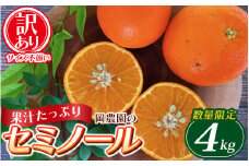 訳あり品 サイズ混合 ご家庭用 岡農園のセミノール4kg【2026年3月下旬から4月下旬までに順次発送】 / セミノール わけあり 訳あり 家庭用 みかん 蜜柑 数量限定 ミカン