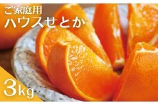(先行予約) 家庭用 M~4L サイズおまかせ 3kg 阪口農園のハウスせとか【2026年2月中旬から3月中旬までに順次発送】 / せとか ハウスせとか みかん 蜜柑 先行予約 数量限定 ミカン
