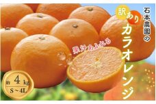 訳あり S-4L サイズおまかせ 石本農園のカラオレンジ 4kg 【2026年4月初旬から下旬までに順次発送】  / みかん ミカン 蜜柑 カラオレンジ 訳あり おまかせ