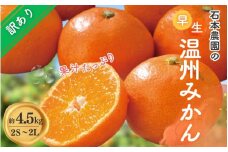 訳あり 2S-2Lサイズおまかせ 石本農園の早生温州みかん 約4.5kg【11月下旬から12月末頃までに順次発送】 / みかん ミカン 蜜柑 早生温州 早生 訳あり　おまかせ