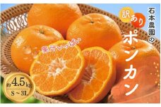 訳あり S-3L サイズおまかせ 石本農園のポンカン 4.5kg 【2026年1月中旬から2月中旬頃までに順次発送】/ みかん ミカン 蜜柑 ぽんかん 訳あり おまかせ