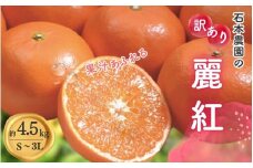 訳あり S-3L サイズおまかせ 石本農園の麗紅 4.5kg 【2026年1月中旬から2月末頃までに順次発送】/ みかん ミカン 蜜柑 麗紅 れいこう 訳あり おまかせ