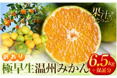 【先行予約】 訳あり 極早生温州みかん 約6.5kg＋傷み保証分300g 2S～3Lサイズおまかせ 【2025年9月下旬から10月中旬までに順次発送予定】 / 家庭用 ご家庭用 訳アリ わけあり ミカン 蜜柑 柑橘 果物 くだもの フルーツ 極早生 温州 夏みかん