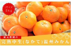 Lサイズ 前元農園の完熟中生(なかて)温州みかん 5kg【1月初旬～下旬に順次発送】 /  フルーツ  中生 なかて 温州 みかん 蜜柑 三重県  高品質 みえ アルギット