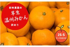 2S-S サイズおまかせ 前地農園の早生温州みかん  ご家庭用 訳あり 7kg【2025年12月初旬から12月中旬までに順次発送】 / わけあり ワケアリ みかん 蜜柑 極早生 数量限定 温州 ミカン ご家庭用 家庭用 マルチ栽培