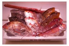 ＼朝どれ新鮮／ 鮮魚セット (大) 約4～5kg前後  目利きのプロが厳選した旬の魚をその日の内に発送！