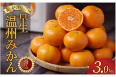 たにぐち農園早生温州みかん(マルチ栽培)　3kg【2025年11月中旬～12月中旬に順次発送】 /   不揃い 早生 温州 みかん 蜜柑 