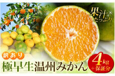 【先行予約】 訳あり 極早生温州みかん 約4kg＋傷み保証分200g 2S～3Lサイズおまかせ 【2025年9月下旬から10月中旬までに順次発送予定】 / 家庭用 ご家庭用 訳アリ わけあり ミカン 蜜柑 柑橘 果物 くだもの フルーツ 極早生 温州 夏みかん
