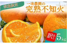 一法農園の完熟不知火　ご家庭用 ちょこっと訳あり　M-3Lサイズ混合 5kg【2026年2月上旬～3月下旬までに順次発送】 / みかん ミカン 蜜柑 不知火 デコポン
