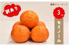【先行予約】橋本農園の 訳あり セミノール 3kg 【2026年3月中旬から4月中旬に順次発送】 / セミノール 柑橘 フルーツ 果物 くだもの 先行予約 訳あり