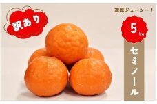 【先行予約】橋本農園の 訳あり セミノール 5kg 【2026年3月中旬から4月中旬に順次発送】 / セミノール 柑橘 フルーツ 果物 くだもの 先行予約 訳あり