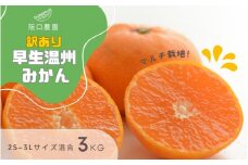(先行予約) 2S~3L サイズ混合 3kg 阪口農園の 訳あり 早生温州みかん (マルチ栽培) 【2025年12月中旬から順次発送】 / みかん 蜜柑 先行予約 数量限定 ミカン