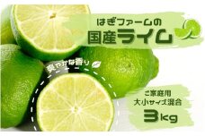 ご家庭用 はぎファームの 国産ライム 3kg　大小サイズ混合(30～35個前後) 【2025年8月下旬頃から順次発送予定】 / ライム 国産 らいむ