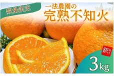 一法農園の完熟不知火 ご家庭用 ちょこっと訳あり L-3Lサイズ 3kg【2026年2月上旬～3月下旬までに順次発送】 / みかん ミカン 蜜柑 不知火 デコポン