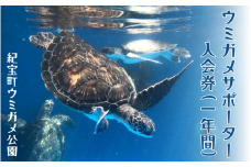 紀宝町ウミガメ公園 ウミガメサポーター（1年間） /  ウミガメ サポーター ウミガメ公園 三重県 紀宝町 イベント 餌やり 