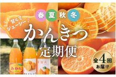 【全4回】 柑橘 定期便 石本果樹園 旬の柑橘を春夏秋冬でお届け！ /  フルーツ 果物 くだもの 柑橘 フルーツ定期便 くだもの定期便 定期便 みかん ミカン 温州みかん せとか カラマンダリン ジュース 産地直送 旬 人気 おすすめ 三重県 紀宝町