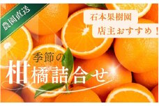先行予約 旬の柑橘 詰め合わせ セット 石本果樹園 店主おすすめの柑橘セットをお届け 【2026年1月～5月中に順次発送予定】 / フルーツ 果物 くだもの 柑橘 フルーツセット くだものセット みかん ミカン 温州みかん 不知火 せとか セミノール ポンカン カラマンダリン 甘夏 清見 オレンジ 産地直送 旬 人気 おすすめ 詰め合わせ お楽しみ三重県 紀宝町