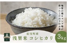 【令和6年産 新米 】 浅里米 コシヒカリ 3kg  / 米 こめ お米 おこめ 精米 白米 ご飯 国産 美味しい おいしい ふっくら 新鮮 数量限定 三重県 紀宝町