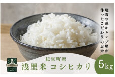 【令和6年産 新米 】 浅里米 コシヒカリ 5kg  / 米 こめ お米 おこめ 精米 白米 ご飯 国産 美味しい おいしい ふっくら 新鮮 数量限定 三重県 紀宝町