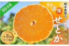 橋本農園の 訳あり ハウスせとか 3kg サイズ混合 【2025年2月初旬～2月末に順次発送】 / ご家庭用 家庭用 訳アリ せとか みかん ミカン 蜜柑 柑橘 果物 くだもの フルーツ 予約 人気 ジューシー 産地直送