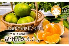 【先行予約】 マルチ栽培 紀宝町産 温州みかん 約3kg サイズおまかせ / 数量限定 みかん ミカン 蜜柑 温州みかん フルーツ 果物 くだもの 柑橘 予約 産地直送 農家直送 三重県 紀宝町